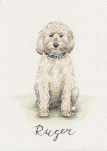 Custom watercolor of cavapoo dog