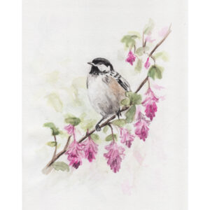 watercolor bird chickadee print