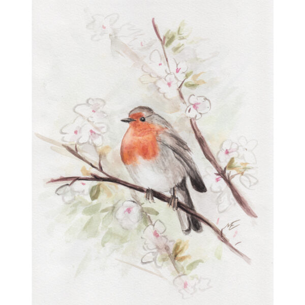 watercolor robin bird print