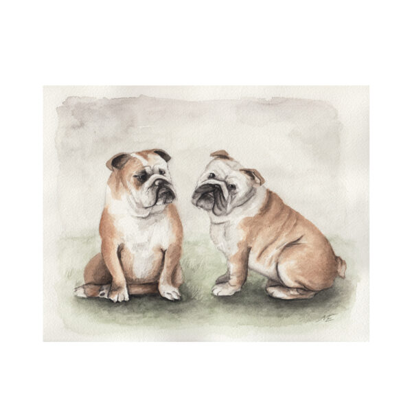 Custom Pet Illustration Watercolor