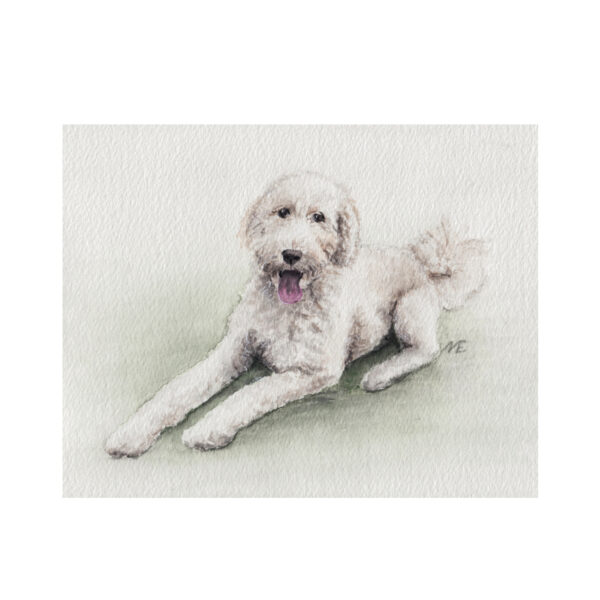 Custom Pet Illustration Watercolor